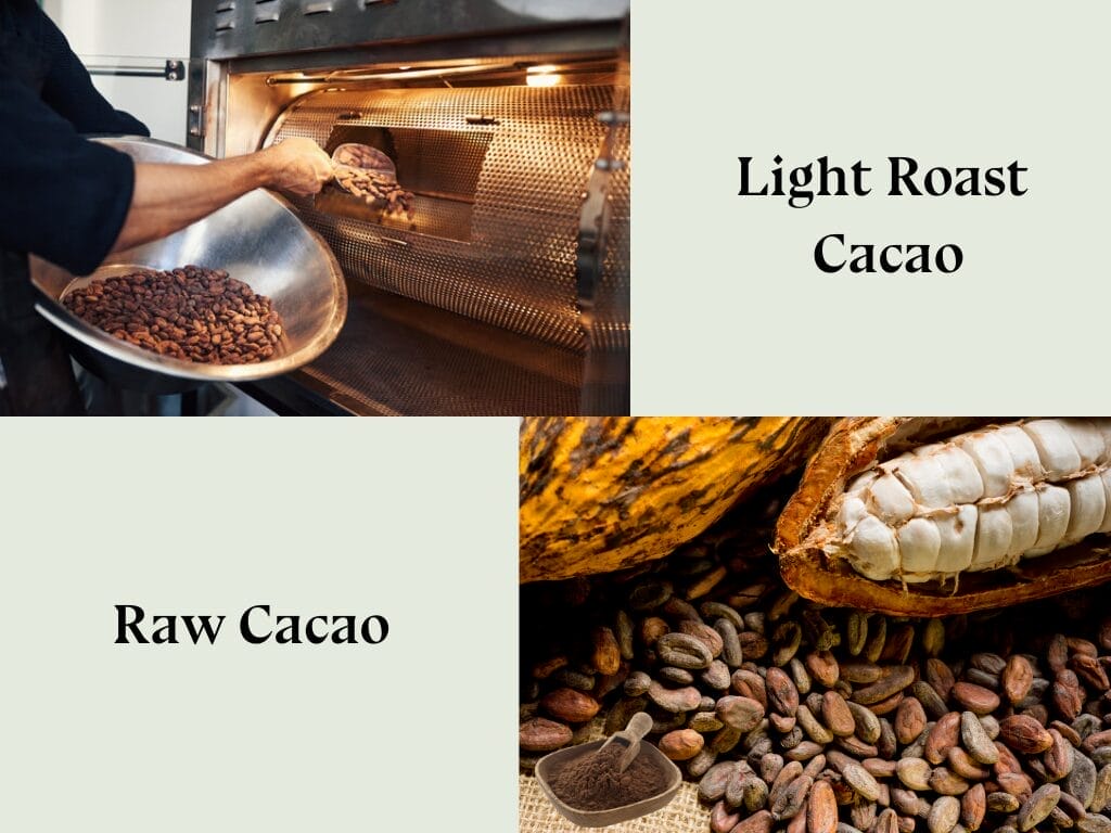 Raw vs. Lightly Roasted Cacao: Which One is Better for You? 3 31