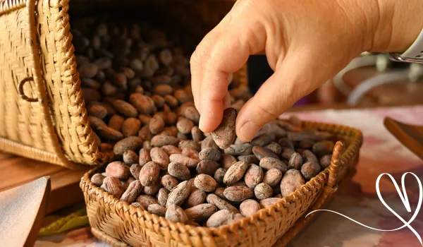 The Difference Between a Chocolatier and Chocolate Maker 4 4. Sourcing Ethically And Sustainably