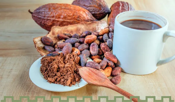 Who Invented Chocolate 7 5. Coenraad van Houten Invents Cocoa Powder and Cocoa Butter