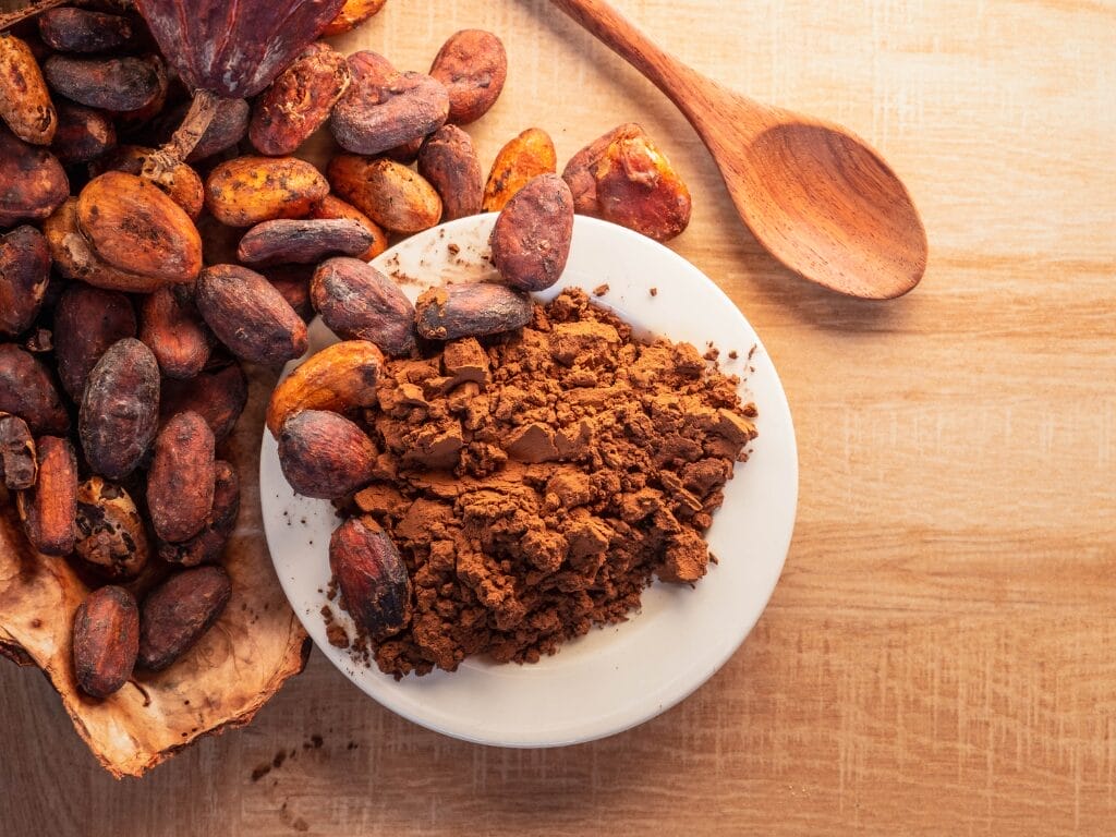 Raw vs. Lightly Roasted Cacao: Which One is Better for You? 4 Newsletter Designs