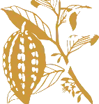 The Good Chocolatier Gold Logo favicon